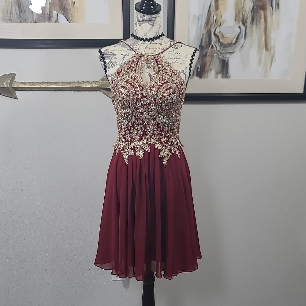 Stunning Chic Maroon Embellished Dress